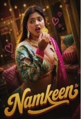 Namkeen (2026) S01 E01-02 Web Series